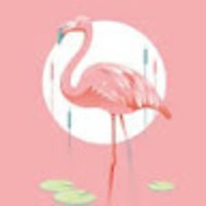 Meet your Posher, Ann